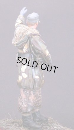 Photo4: Alpine Miniatures[AM16003]WSS Grenadier "Wiking"