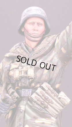 Photo5: Alpine Miniatures[AM16003]WSS Grenadier "Wiking"