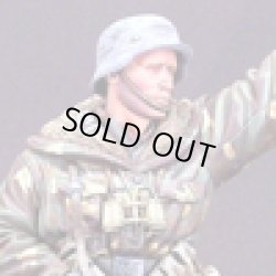 Photo8: Alpine Miniatures[AM16003]WSS Grenadier "Wiking"