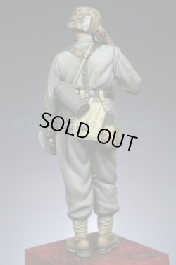 Photo3: Alpine Miniatures[AM16005]WSS Gebirgsj”ger "Prinz Eugen"