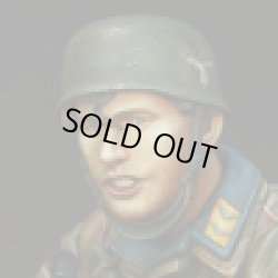 Photo11: Alpine Miniatures[AM16010]Fallschirmj”ger Sniper