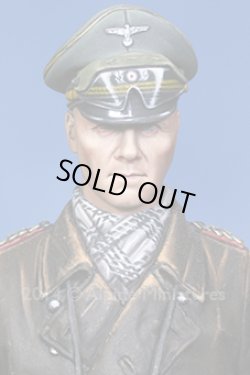 Photo3: Alpine Miniatures[AM16024]Erwin Rommel