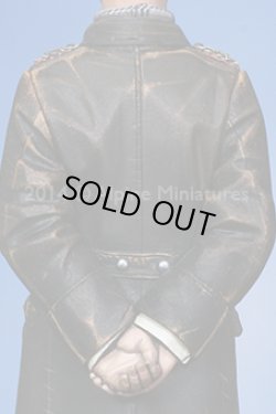 Photo5: Alpine Miniatures[AM16024]Erwin Rommel