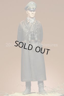 Photo8: Alpine Miniatures[AM16024]Erwin Rommel