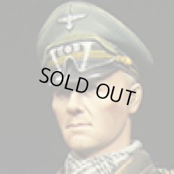 Photo17: Alpine Miniatures[AM16024]Erwin Rommel