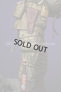 Photo4: Alpine Miniatures[AM16032]101st Airborn "Screaming Eagles"