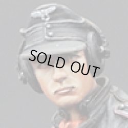 Photo13: Alpine Miniatures[AM35173]SS Panzer Commander #2