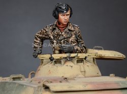 Photo5: Alpine Miniatures[AM35188]WSS Panzer Commander #2