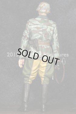 Photo8: Alpine Miniatures[AM35193]German Grenadier Officer