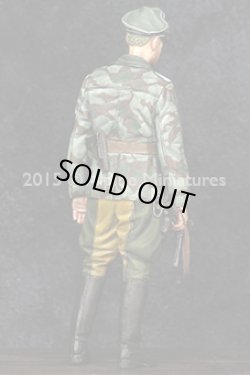 Photo9: Alpine Miniatures[AM35193]German Grenadier Officer