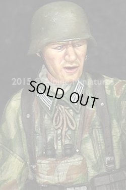 Photo4: Alpine Miniatures[AM35194]German Grenadier NCO