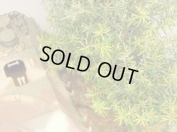 Photo5: Iroha[MS-BOX01] Iroha Value Box(Leaves)