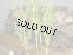 Photo7: Iroha[MS-BOX01] Iroha Value Box(Leaves)