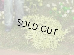 Photo6: Iroha[MS-BOX01] Iroha Value Box(Leaves)