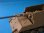 Photo2: [Passion Models] [P35-034] 12.8cm Jagd Tiger Metal barrel for Tamiya (2)