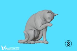 Photo5: [Passion Models][P35T-024]1/48 Cats For Cat Lovers 5psc [5 distinct poses]