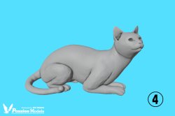 Photo6: [Passion Models][P35T-024]1/48 Cats For Cat Lovers 5psc [5 distinct poses]