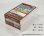 Photo3: [Passion Models] [P35T-039] 1/35 Sun Flower Set  5-Pack (3)