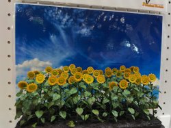 Photo4: [Passion Models] [P35T-039] 1/35 Sun Flower Set  3-Pack