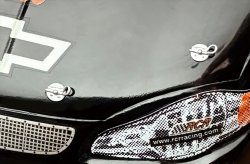 Photo4: [SHK PRODUCTS] [SHK24-002] 1/24 Bonnet pins Set B