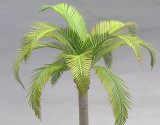 [Kamizukuri] [A-31] Coco nuts palm