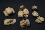 Work Shop Shin[M-20221]1/35 Food and Feed Set(A)