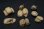 Photo1: Work Shop Shin[M-20221]1/35 Food and Feed Set(A) (1)