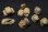 Photo2: Work Shop Shin[M-20221]1/35 Food and Feed Set(A) (2)