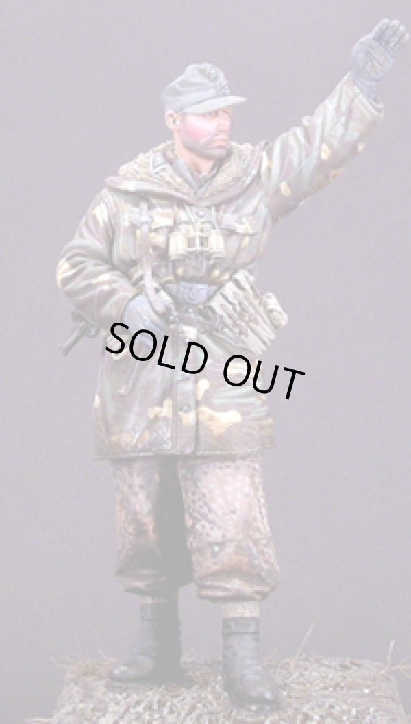 Photo2: Alpine Miniatures[AM16003]WSS Grenadier "Wiking"