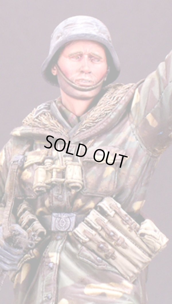 Photo5: Alpine Miniatures[AM16003]WSS Grenadier "Wiking"