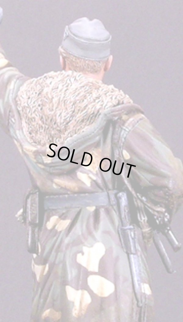 Photo6: Alpine Miniatures[AM16003]WSS Grenadier "Wiking"