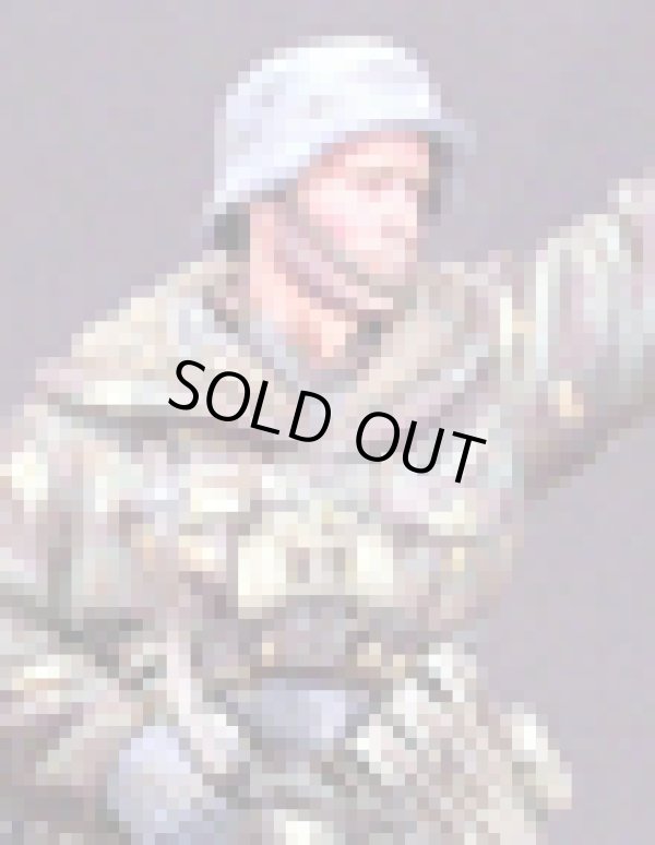 Photo7: Alpine Miniatures[AM16003]WSS Grenadier "Wiking"