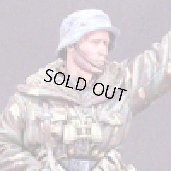 Photo8: Alpine Miniatures[AM16003]WSS Grenadier "Wiking"