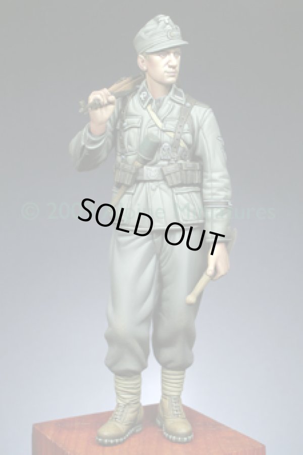 Photo2: Alpine Miniatures[AM16005]WSS Gebirgsj”ger "Prinz Eugen"