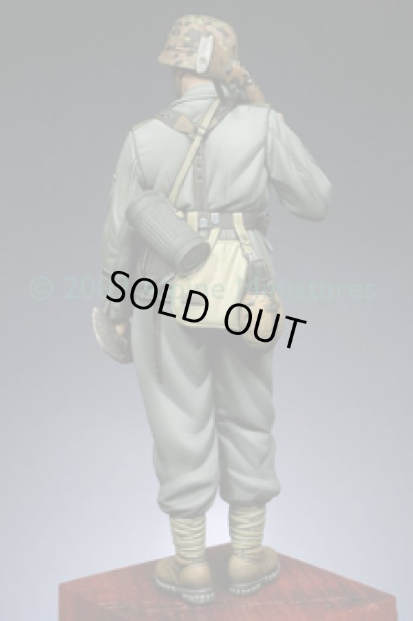 Photo3: Alpine Miniatures[AM16005]WSS Gebirgsj”ger "Prinz Eugen"