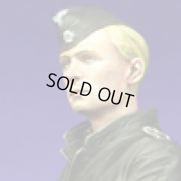 Photo6: Alpine Miniatures[AM16006]WSS Panzer Crew "LSSAH"