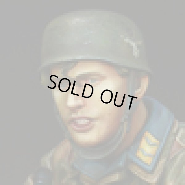 Photo11: Alpine Miniatures[AM16010]Fallschirmj”ger Sniper