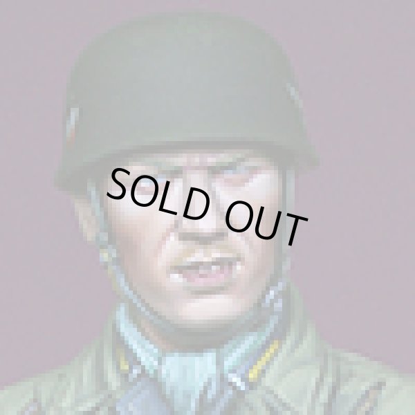 Photo6: Alpine Miniatures[AM16019]German Fallschirmjäger