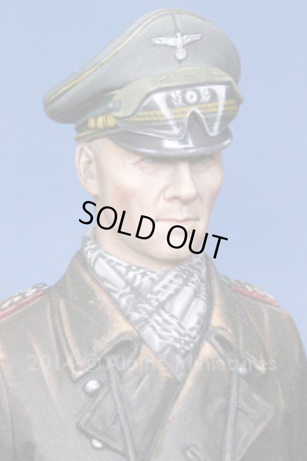 Photo4: Alpine Miniatures[AM16024]Erwin Rommel