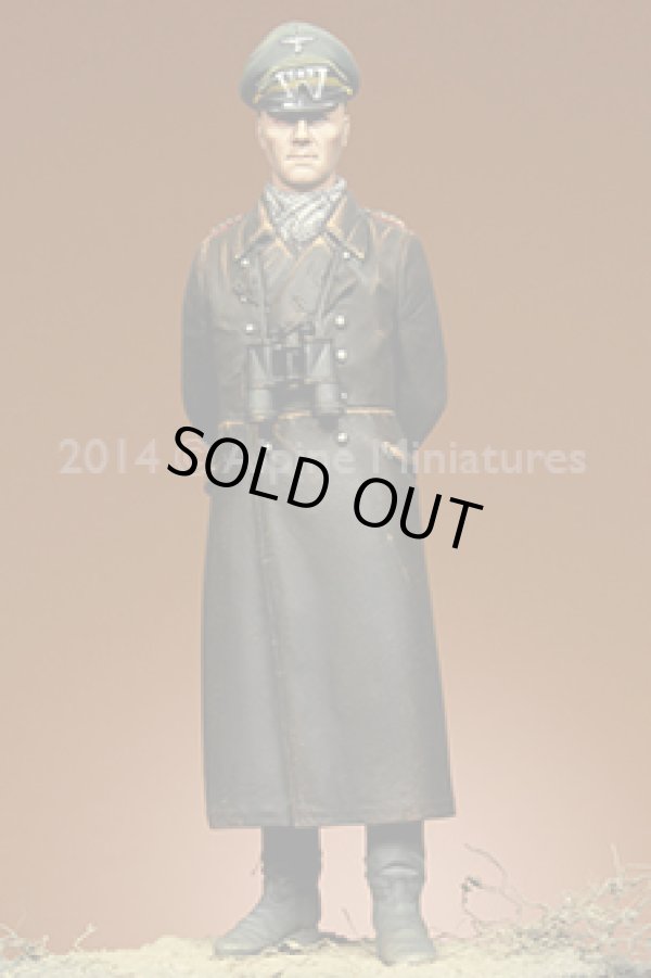 Photo6: Alpine Miniatures[AM16024]Erwin Rommel