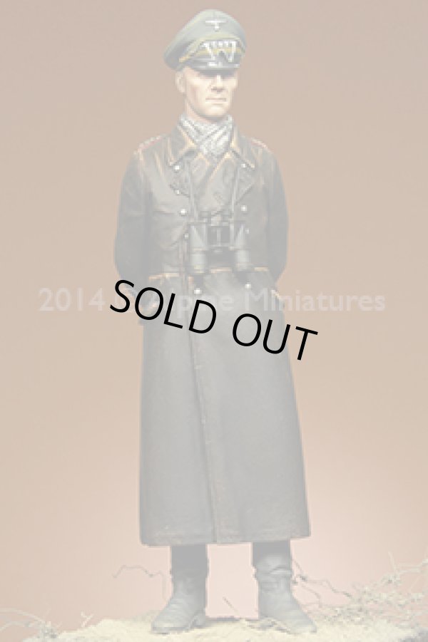 Photo8: Alpine Miniatures[AM16024]Erwin Rommel