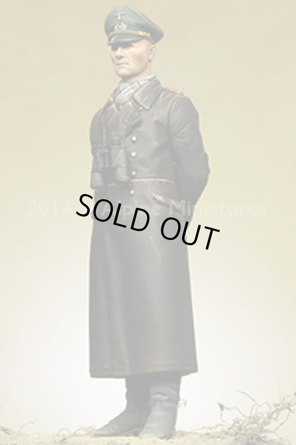 Photo9: Alpine Miniatures[AM16024]Erwin Rommel