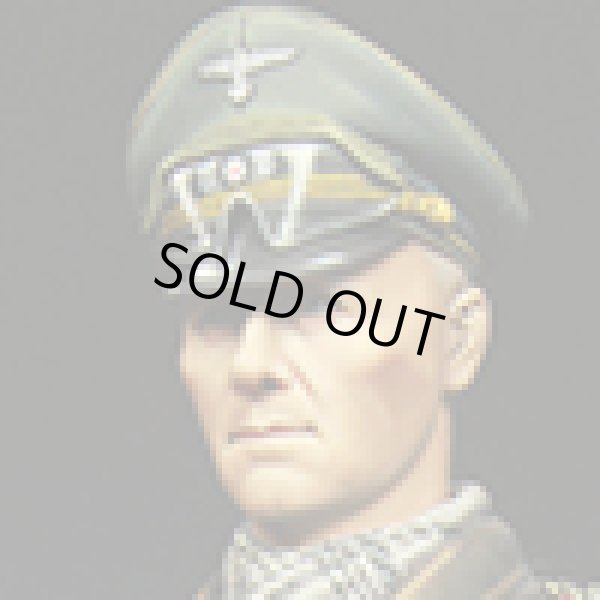 Photo17: Alpine Miniatures[AM16024]Erwin Rommel