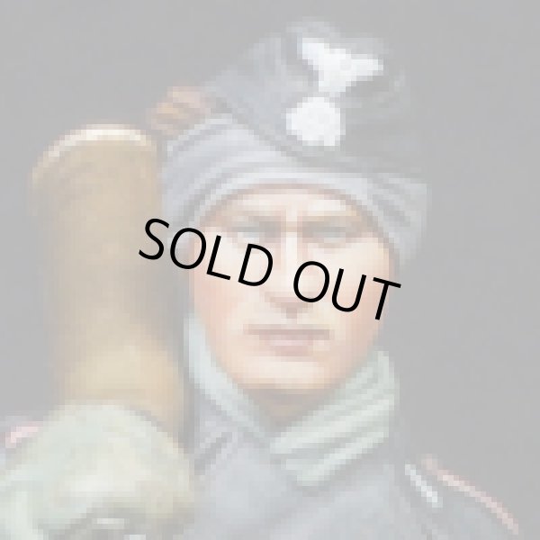 Photo9: Alpine Miniatures[AM35105]WSS Panther Crew #1