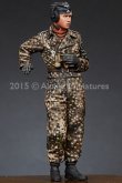 Photo3: Alpine Miniatures[AM35188]WSS Panzer Commander #2