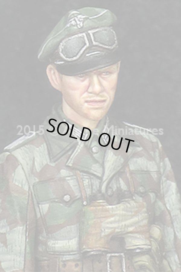 Photo2: Alpine Miniatures[AM35193]German Grenadier Officer