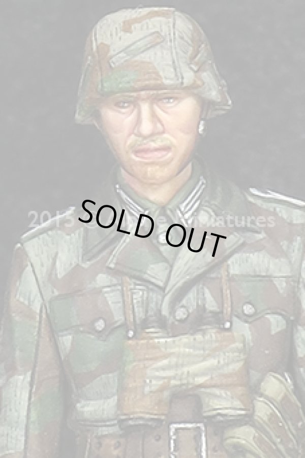 Photo4: Alpine Miniatures[AM35193]German Grenadier Officer