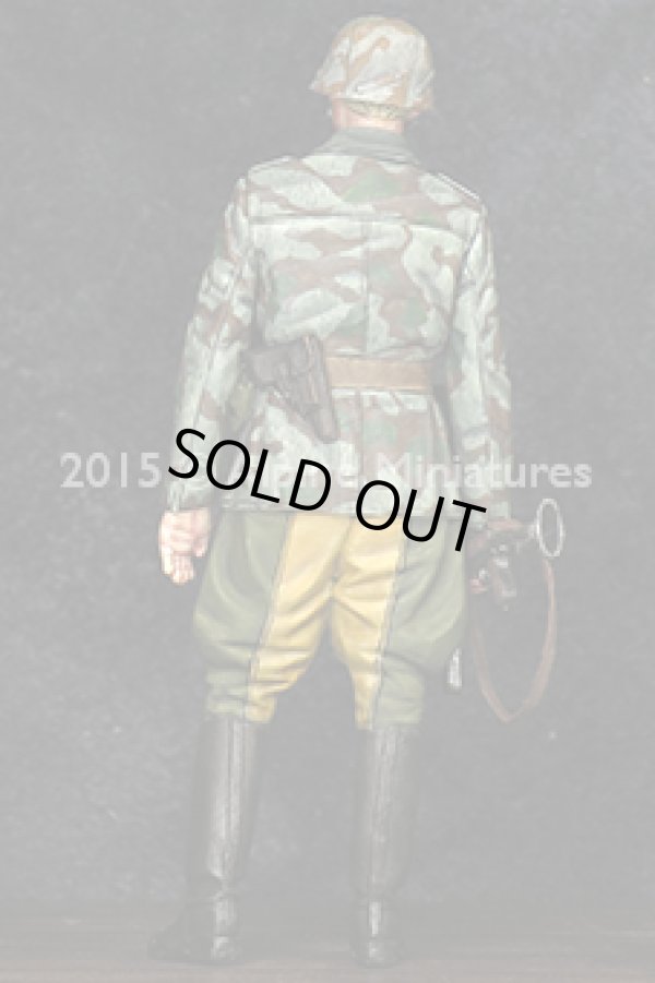 Photo8: Alpine Miniatures[AM35193]German Grenadier Officer