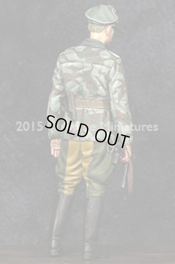 Photo9: Alpine Miniatures[AM35193]German Grenadier Officer