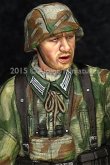 Photo2: Alpine Miniatures[AM35194]German Grenadier NCO